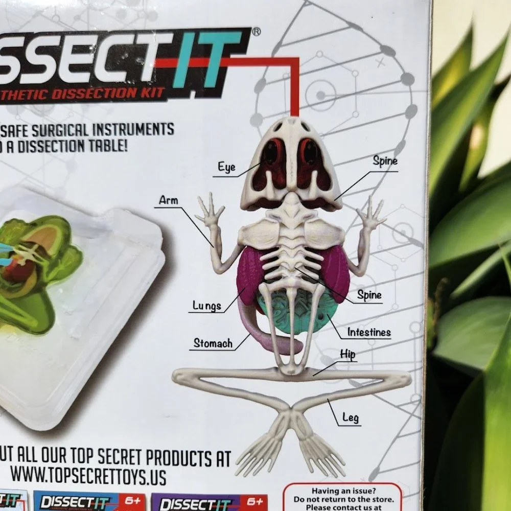 NEW Dissect-it Synthetic Lab Dissection Toy STEM KIT CRAFT Frog Easter gift